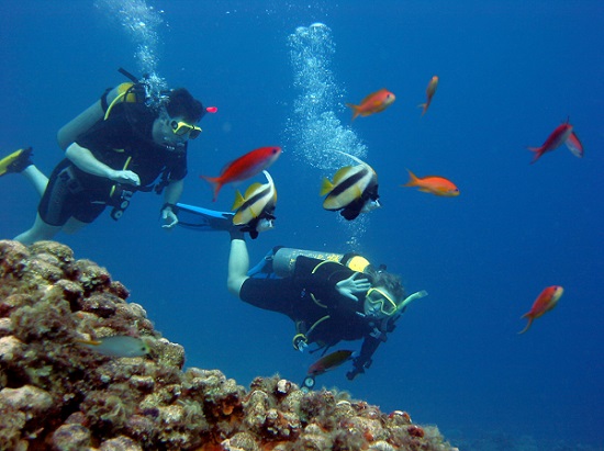 Pacote-Fernando-de-Noronha-julho-2013-2