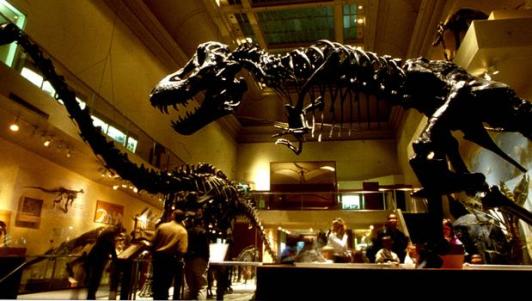 Saiba quais são os 10 museus mais visitados no mundo