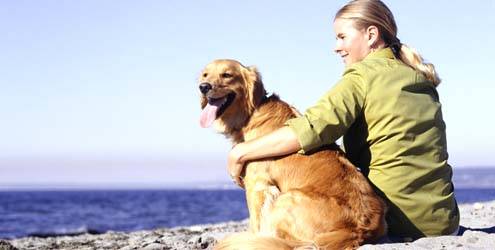 Cachorro na praia não é bom (Foto: Divulgação)